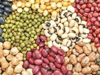 قیمت حبوبات