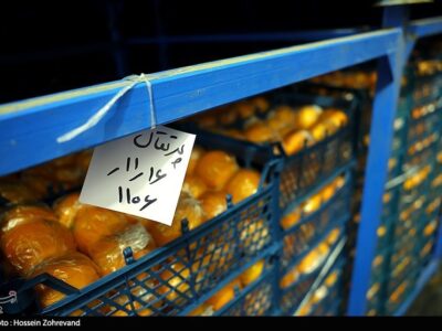 میوه تنظیم بازار نوروزی
