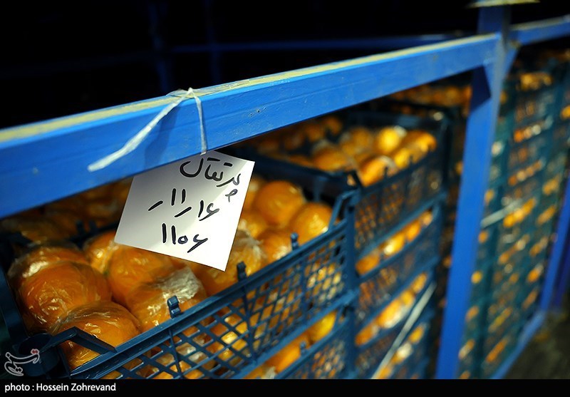میوه تنظیم بازار نوروزی