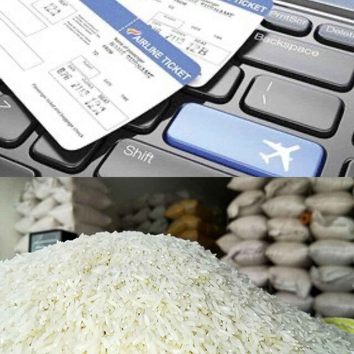 فونیکس