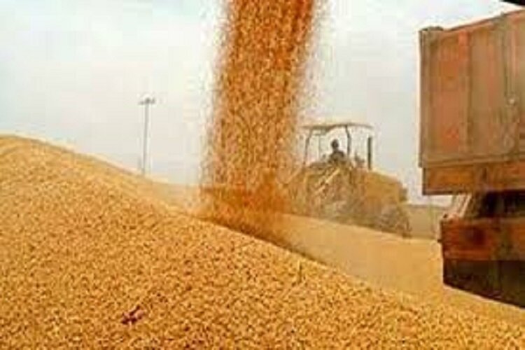 مراکز خرید گندم نباید در ساعات اوج فعالیت با خاموشی مواجه شوند