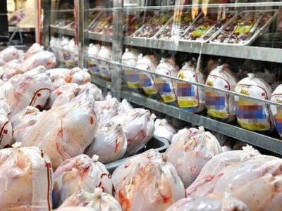 مرغ ۹۷ درصد بازار پروتئین را در دست دارد