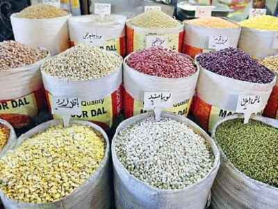 صادرات حبوبات ممنوع شد