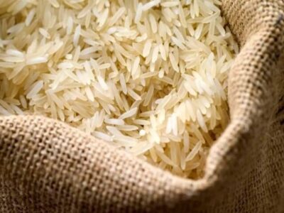 برخورد قاطع تعزیرات با احتکارکنندگان برنج