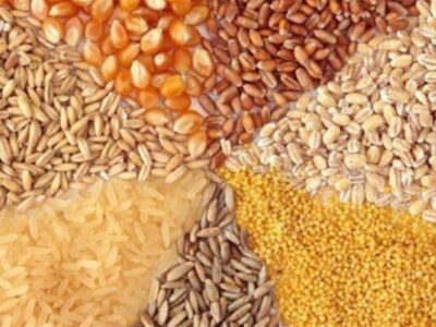 تداوم تخصیص ارز ۲۸۵۰۰تومانی برای برخی کالاهای اساسی