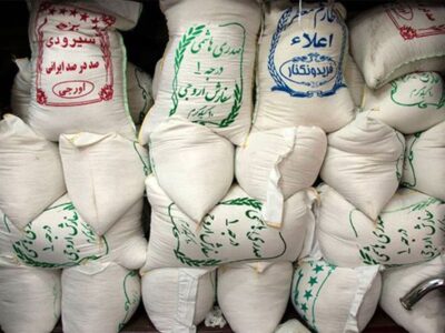 نبود زنجیره تأمین شفاف، بازار برنج را به دلالان سپرد