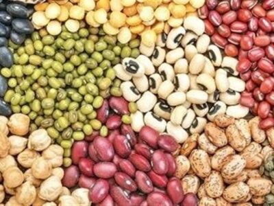 ۳۰ درصد حبوبات از طریق واردات تامین می‌شود