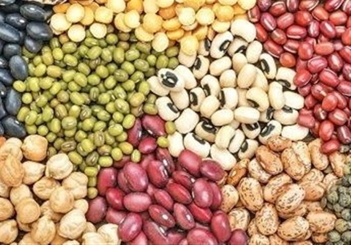 ۳۰ درصد حبوبات از طریق واردات تامین می‌شود