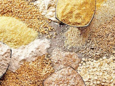 دامداران با چالش تامین نهاده‌های دامی کشور رو‌به‌رو هستند