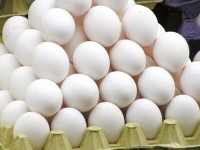 صادرات تخم مرغ به بیش از ۴۰ هزارتن رسید