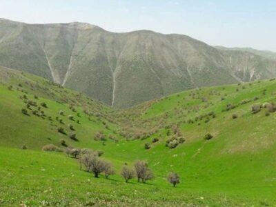 رشد ۲ میلیون هکتاری طرح‌های مرتعداری کشور تا پایان امسال