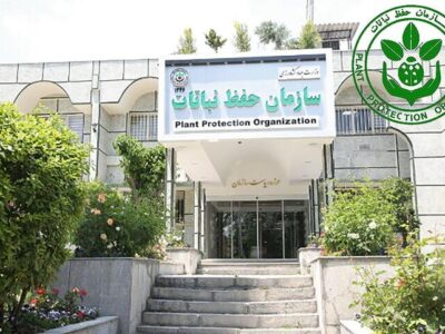 انحلال سازمان حفظ نباتات چه پیامد‌هایی برای تجارت و کشاورزی ایران خواهد داشت؟