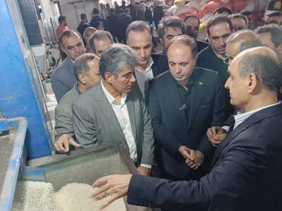 وزیر کشاورزی: مطالبات چای‌کاران تا یک هفته دیگر پرداخت می‌شود