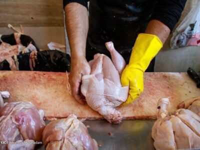 تامین نهاده کافی و با کیفیت مهم‌ترین چالش مرغداران