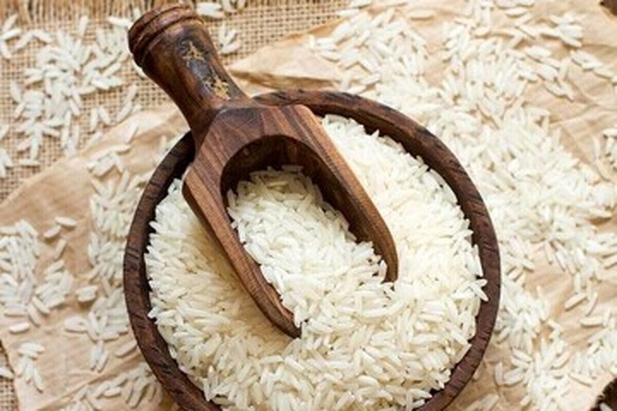 قیمت برنج ایرانی به شدت کاهشی شد