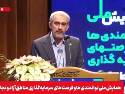 مدنی‌زاده: اقتصاد کشور گرفتار اقتصاد دولتی است + فیلم