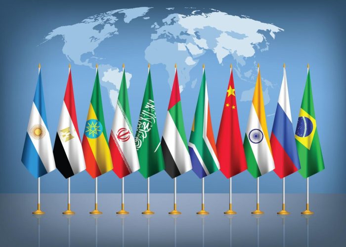 نشست مشترک روسای سازمان‌های مالیاتی کشورهای عضو بریکس برگزار شد