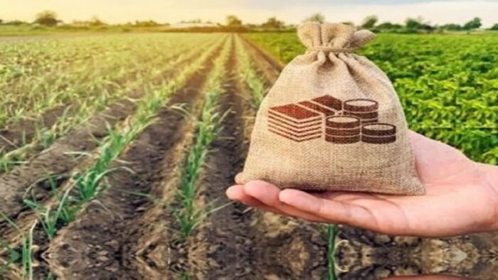تفاهم‌نامه سه‌جانبه برای توسعه بیمه کشاورزی به امضا رسید