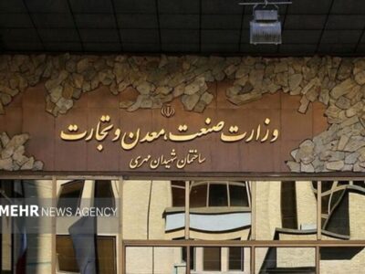 عزت اله زارعی سخنگوی وزارت صمت شد