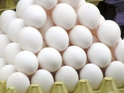 کشف ۴ تن تخم مرغ خارج از شبکه توزیع در میامی؛ یک نفر دستگیر شد