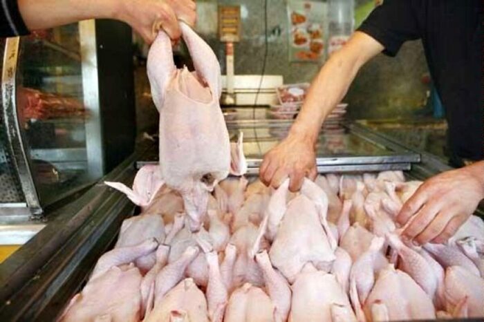 توزیع مازاد بر نیاز گوشت مرغ گرم در استان تهران برای تعادل بازار