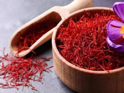 زعفران؛ گنجی در دل زمین‌های چهارمحال و بختیاری