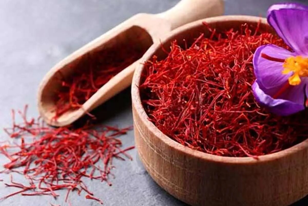 زعفران؛ گنجی در دل زمین‌های چهارمحال و بختیاری