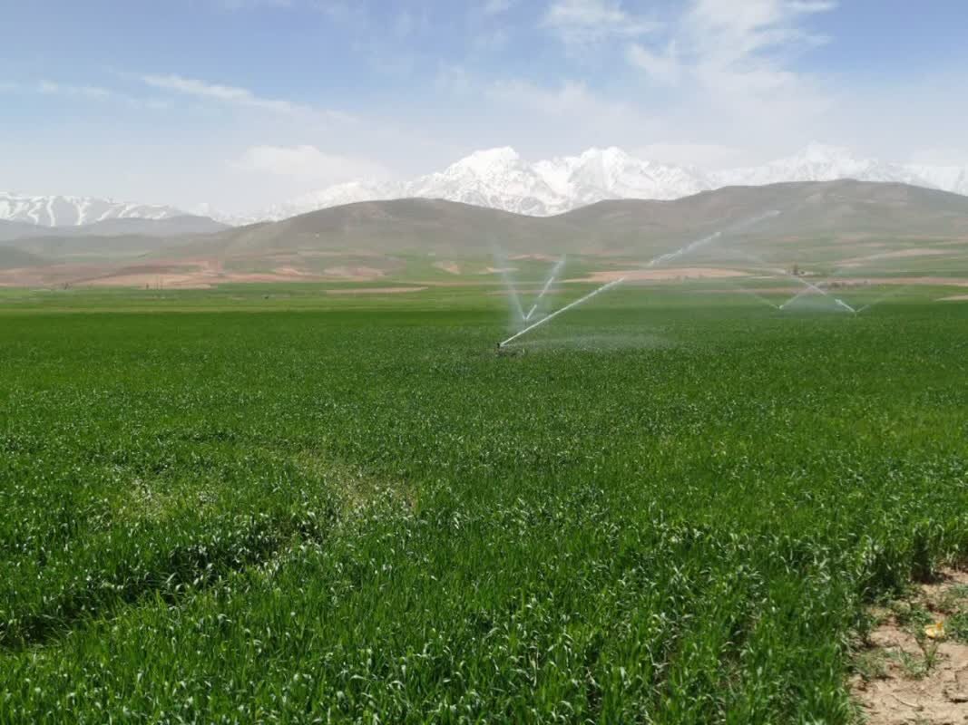 وزارت نیرو سهم آب بخش کشاورزی برای سال جدید را اعلام کند