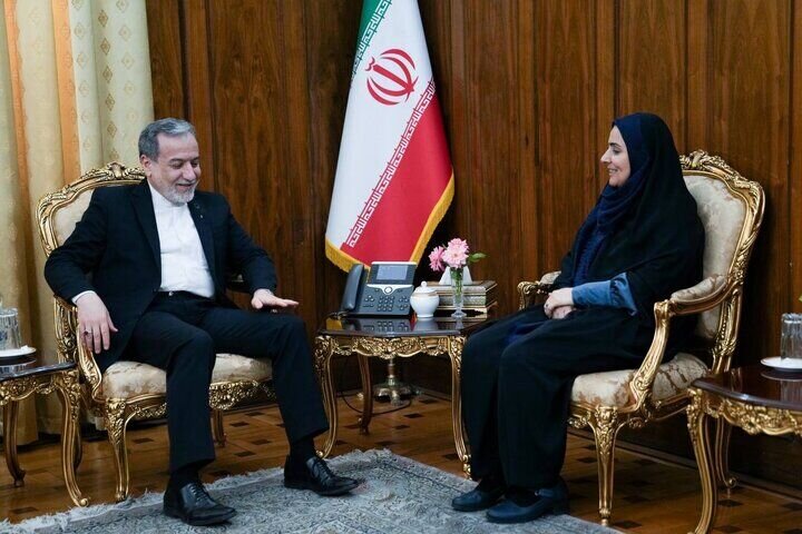 گفتگوی صادق و عراقچی درباره توسعه همکاری‌های مشترک دو وزارتخانه